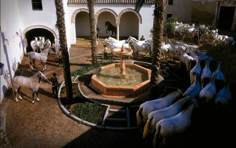 Fotografía: turismoecija.com